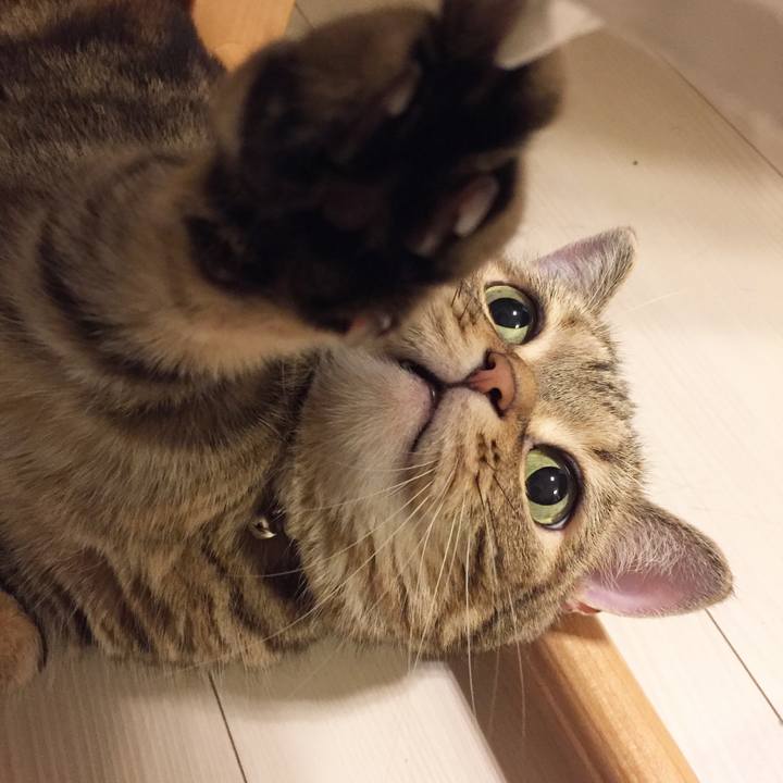 Fd661cef 66c8 41ef b909 9f10e2b572de