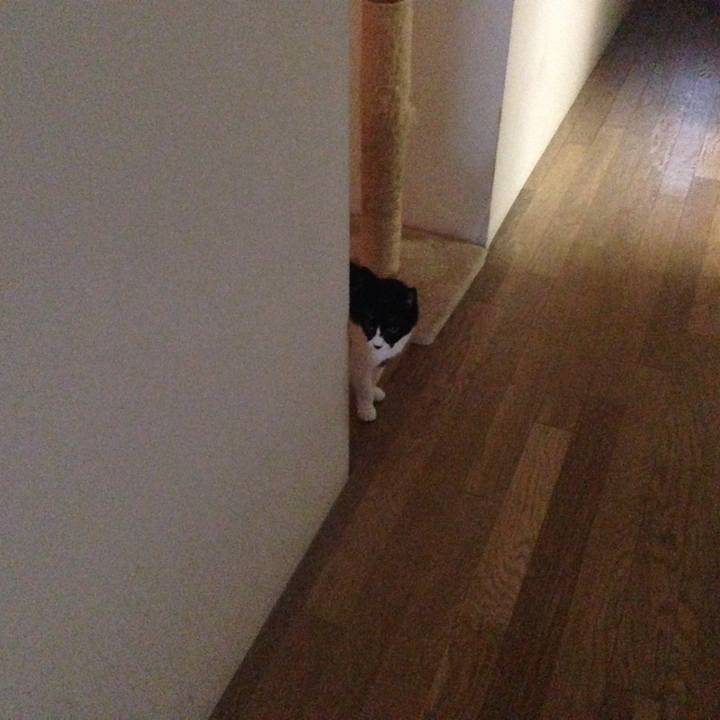 Fd6622d5 4bde 458a 975a 49f4af835946