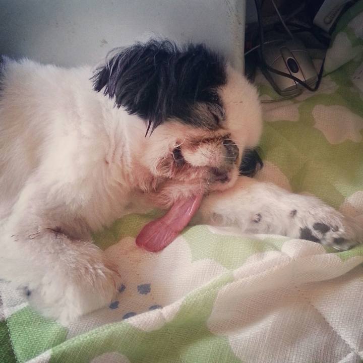 Fd66901d ef5c 4ec5 9e10 f1232d7c9e20