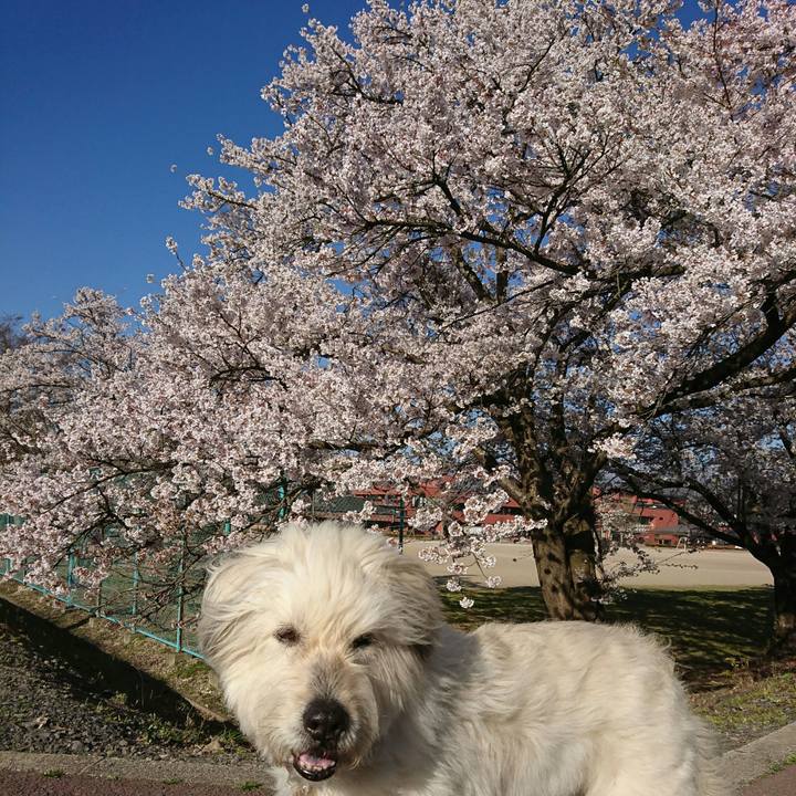 Fd672522 fb27 43fd b467 bbeb65eba235