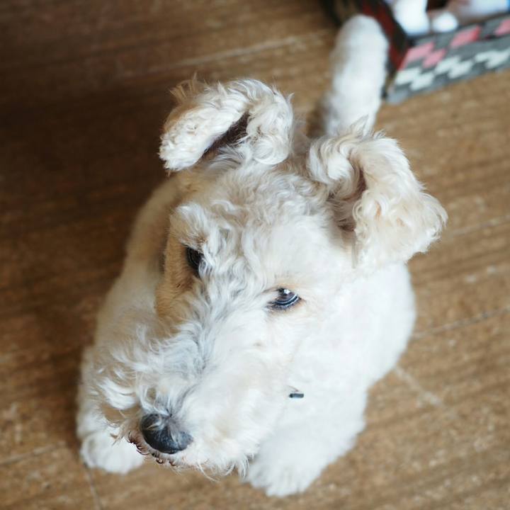 Fd6762af 88db 4ef2 999f d45e87ad042b