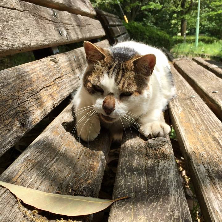 Fd6772e8 dacc 48bd 9637 5f49e67db620