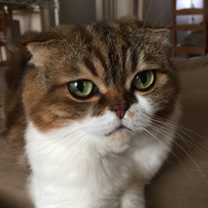 Fd67aae0 0e0c 403a 9ee6 73fecfc2d151