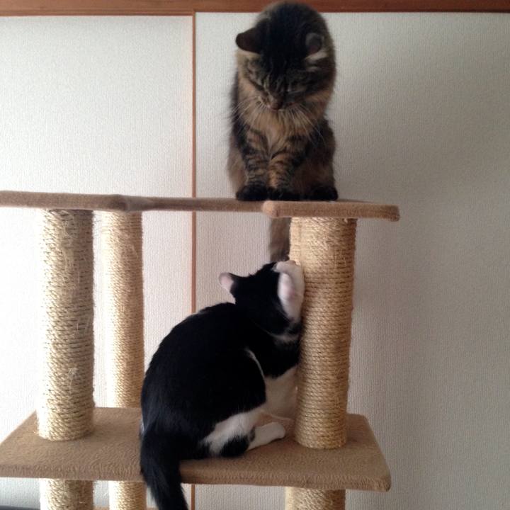 Fd67b43d 3d3e 44c6 9486 2f6bedd35fb7