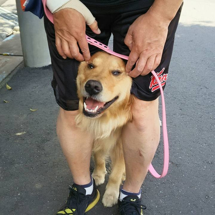 Fd683090 6cb3 4ab7 8a04 5cbb08ad6139