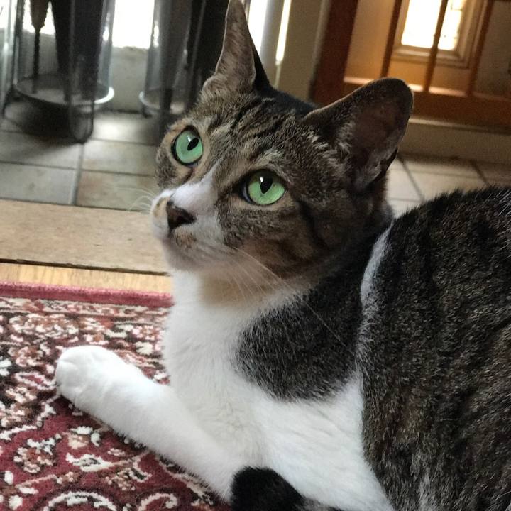 Fd69c124 661c 4057 8fba 75e2a3bbd758