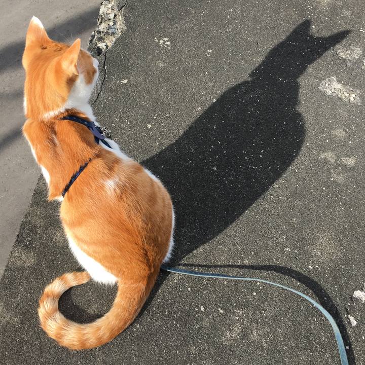 Fd69f26b dae6 4d11 9e38 9ed6464af957