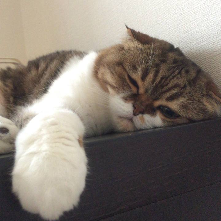 Fd6a02ad 1496 426e abde 61626cc20586