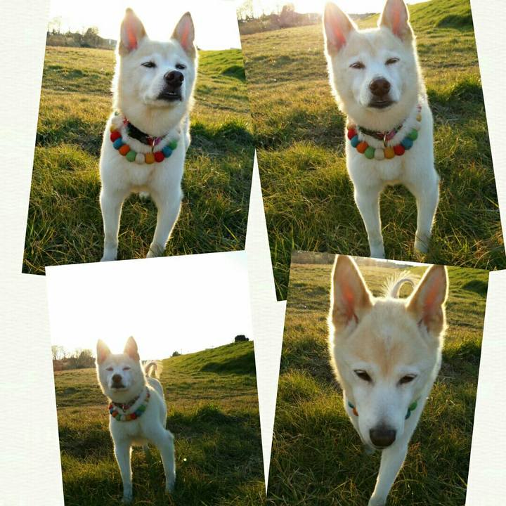 Fd6a4be0 bbc3 4406 a53c 138bb13adfa2