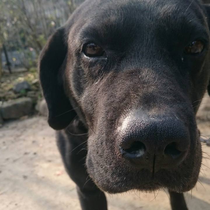 Fd6a6274 f264 4a73 9ec3 828a75638668