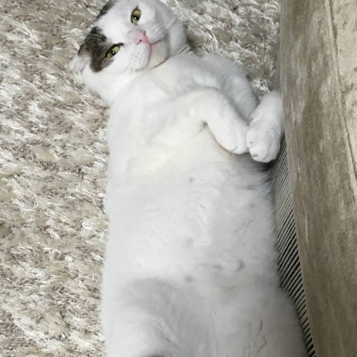 Fd6ad3bf 2a1a 4ab1 b239 d7087680ab2e