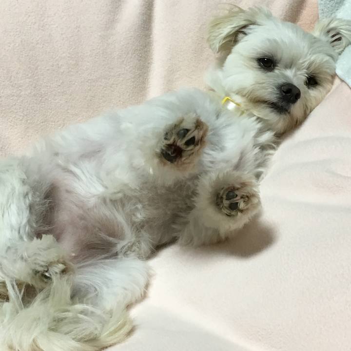 Fd6ae029 a878 4f73 802d 402d3ec49b25