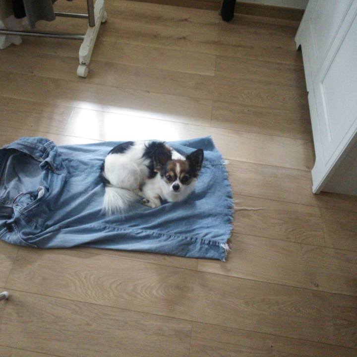 Fd6b5107 9771 46ac bb35 32ed2e0d751f