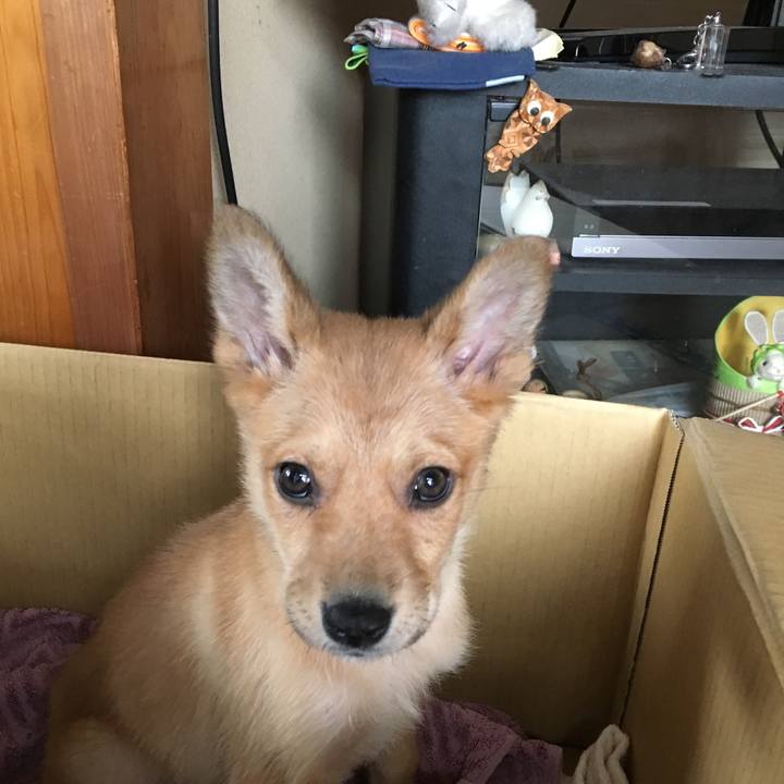 Fd6c5048 9c81 4756 bf07 82a14d15e6fe