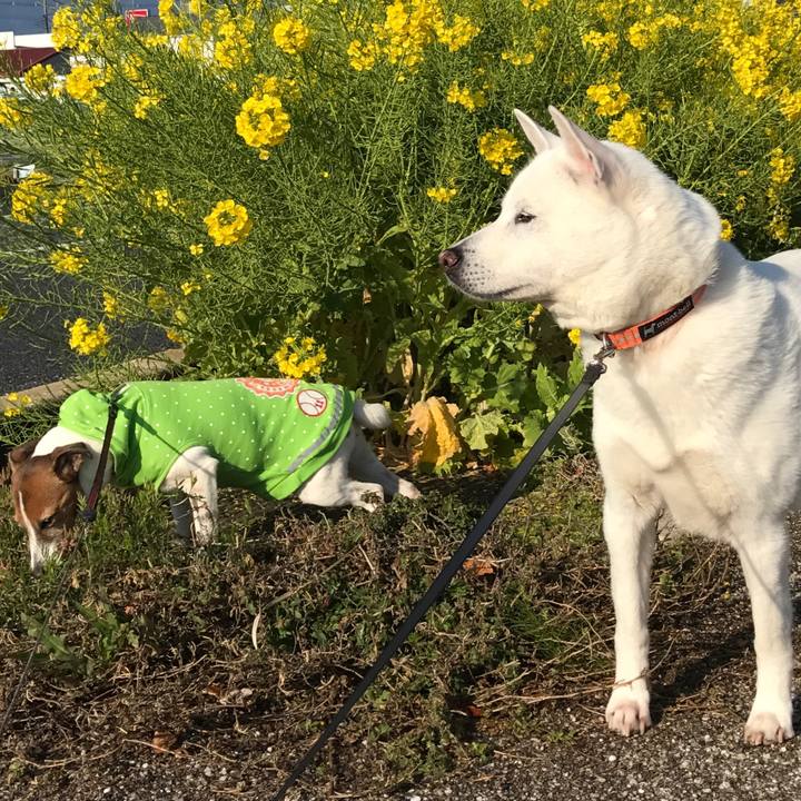 Fd6ccdfe b1e4 4546 a871 2914e9d03f24