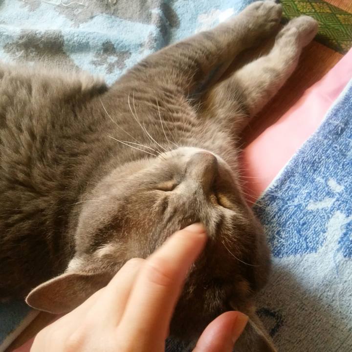 Fd6cdb8d 8979 4a27 964c 73c58fb87f07