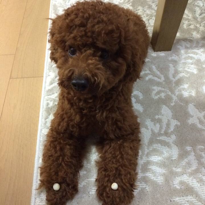 Fd6d01bd 0c01 4522 a402 7ae31a01e3c5