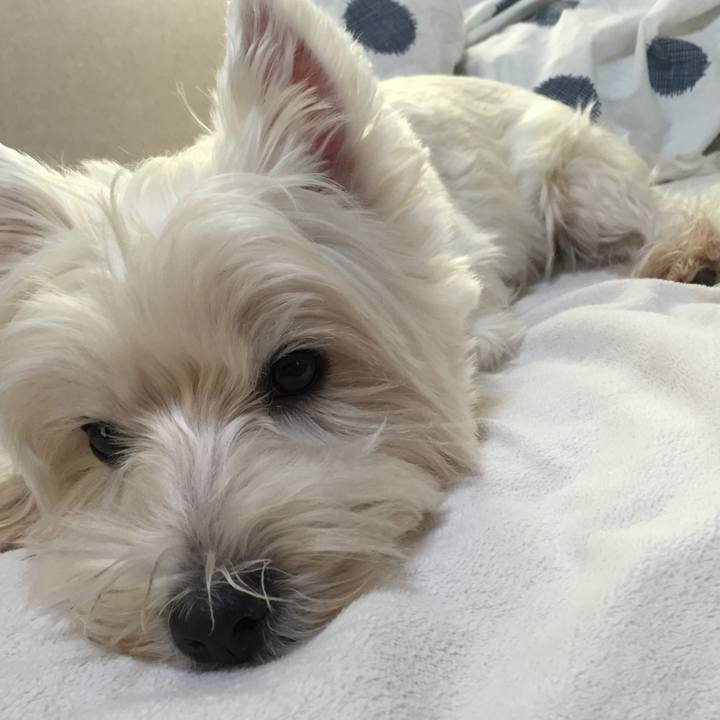 Fd6d31cd b360 44c1 a6da 7a7b08c08ad7