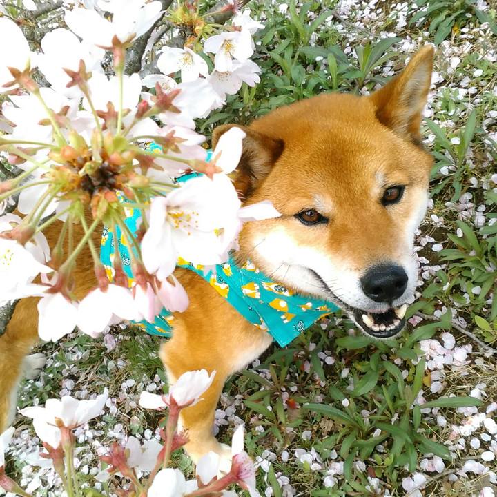 Fd6d3d09 2c6e 468a af3d fef88564b739