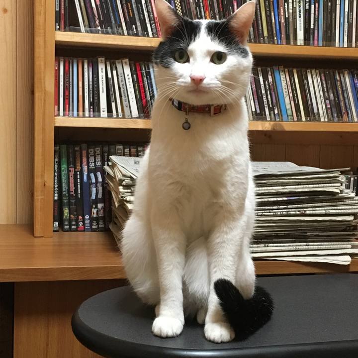 Fd6dcf67 16bd 4c61 ad00 fadda15d9e62