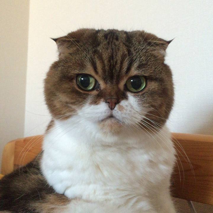 Fd6e2d6d 0f3d 41e2 9f5b 9c1a37b58586