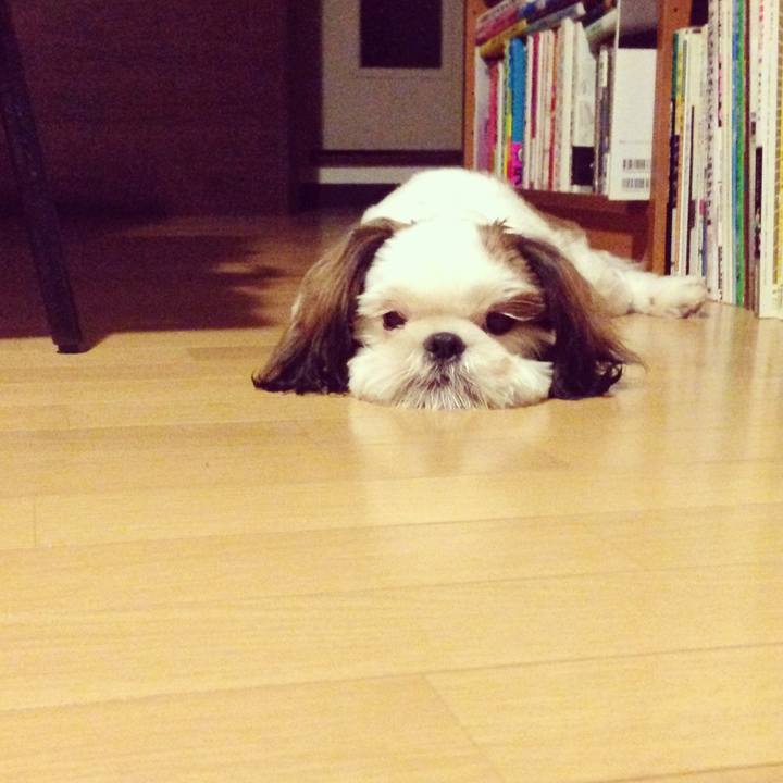 Fd6e7d02 b6c1 4b05 a80e ad57b9deb02c