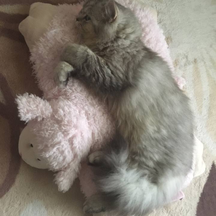 Fd6ea8a1 d775 4684 9717 552115842993