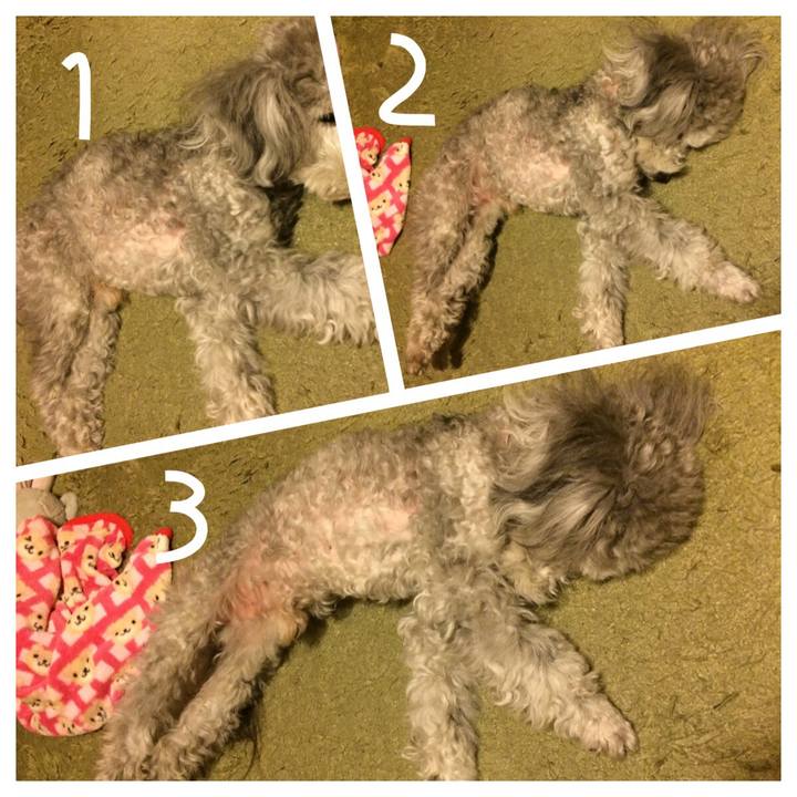 Fd6f24dd d61c 4771 bd87 aa352e21f607