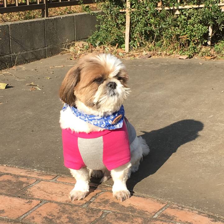 Fd6fa8c1 a265 40f7 9b0d 9e6cc229d43c