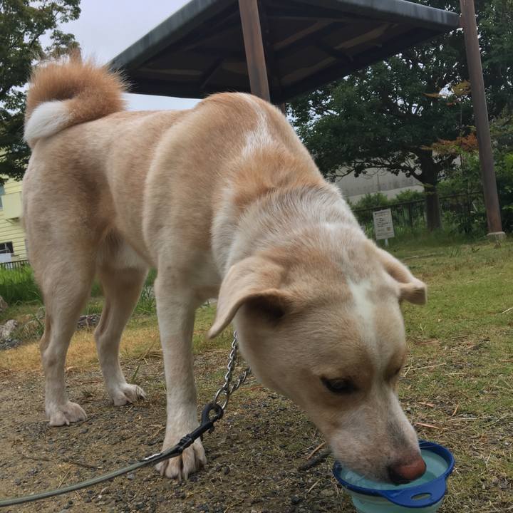 Fd6ffc4a 957b 48da a6ba d8bab4177733