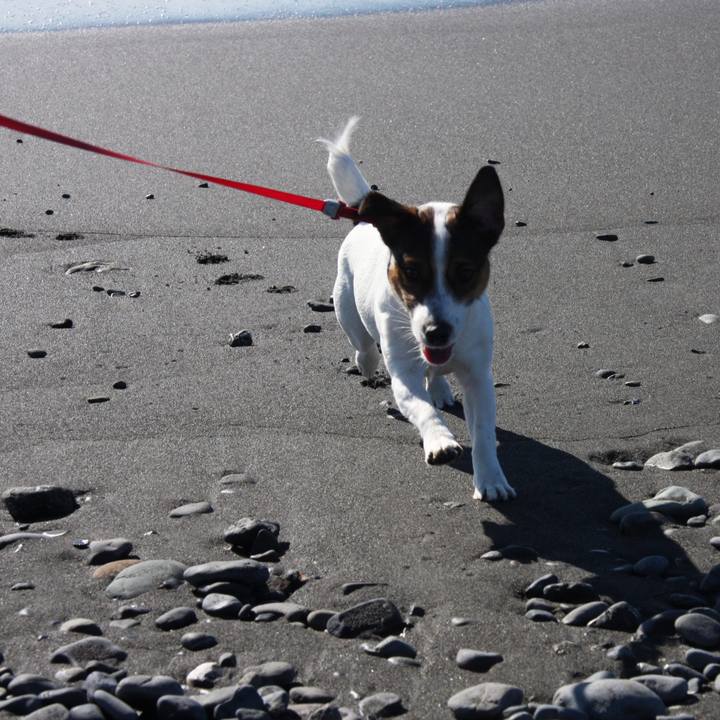 Fd705063 be3c 4da1 afae d99fb264ff50