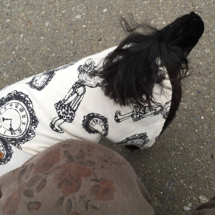 Fd71dd38 7eec 44b7 9623 3937b14d3961