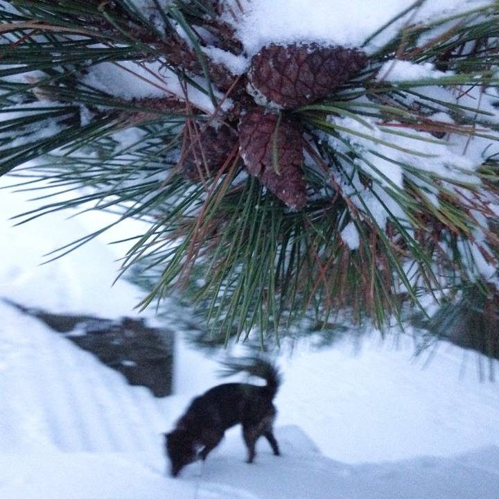 Fd7208b4 8640 4bec 95ea 0f775daf5dc5