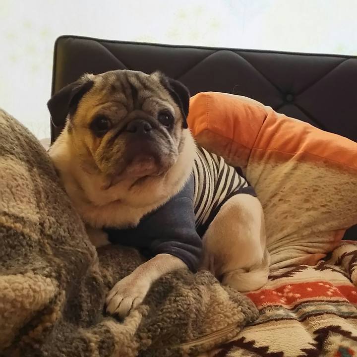 Fd722857 f648 4409 bb25 48695bc4297b