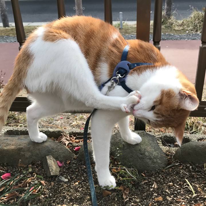 Fd729831 89ec 44a2 83ee c109115a0ed4