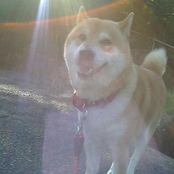 Fd72d247 210e 4734 a44a 7da7fc443a82