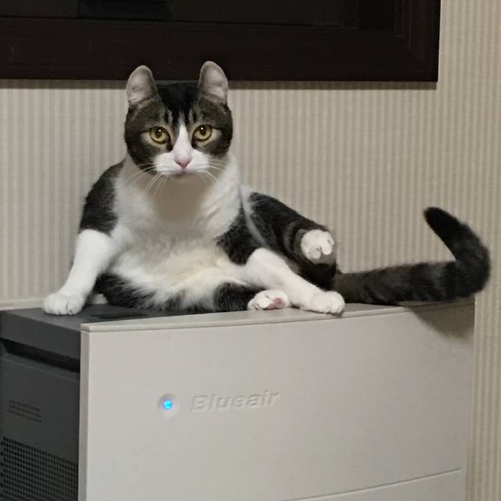 Fd72e2c2 4a1c 4288 b4f7 e19b22fde340