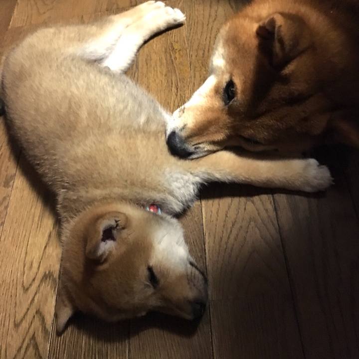 Fd738b32 7a11 4f4e 960c 310de1bf47bb