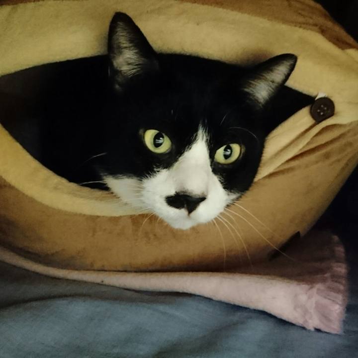 Fd7398d8 22b8 4a51 9813 22aa527b5dd2