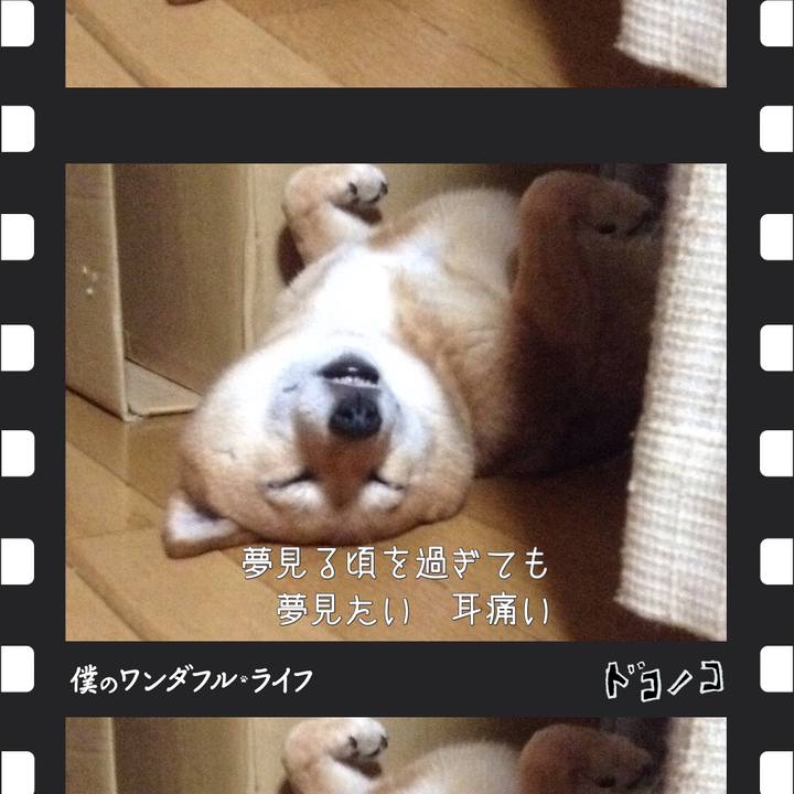 Fd739e6a fa31 4f45 a95f f28ce5280bde