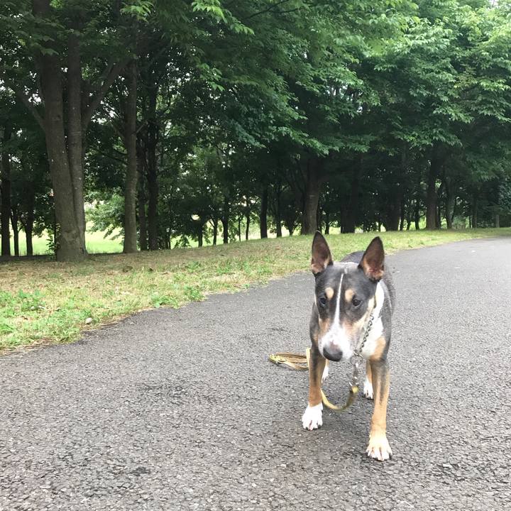 Fd73a051 31f7 493d 8dd7 1bf7abd0c96a