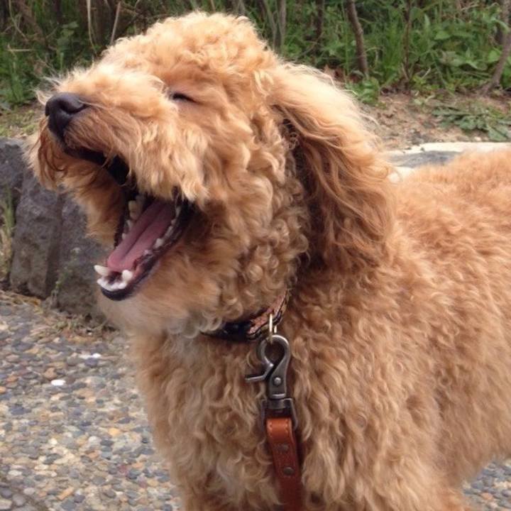 Fd73ca98 9121 4713 8fb2 1198243adaff