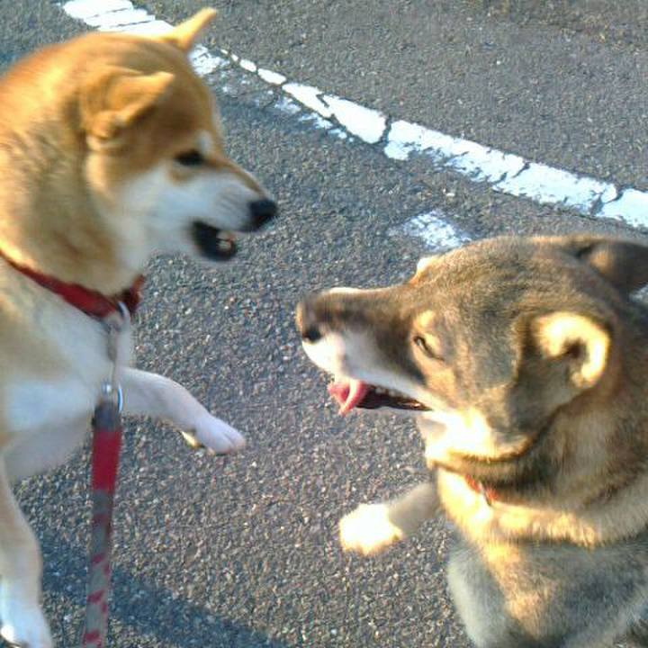 Fd73d940 a684 482f bb38 615b7b6cc6d5