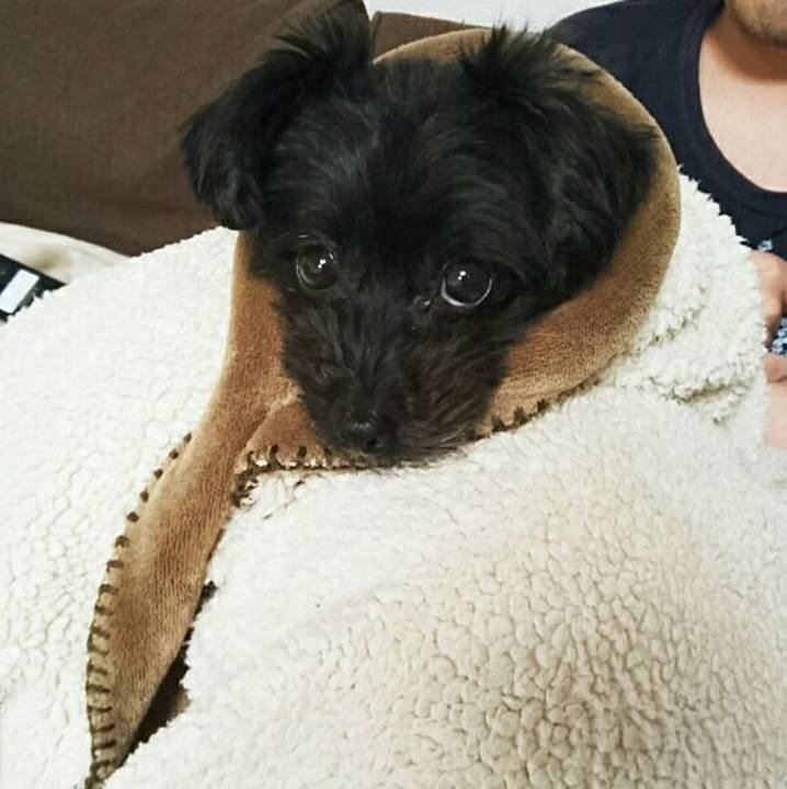 Fd73de50 cc92 4e4c aeb9 ff239728e087