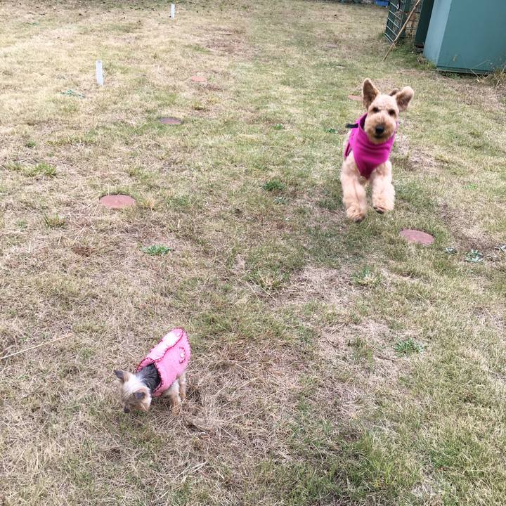 Fd73e615 7b67 4217 ae45 9518f2d5d446