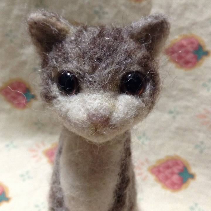 Fd740e92 688f 4490 96c2 0e126d807dd6