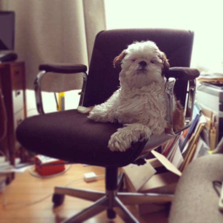 Fd743ac7 5e0f 4537 97eb f2b1932806fc