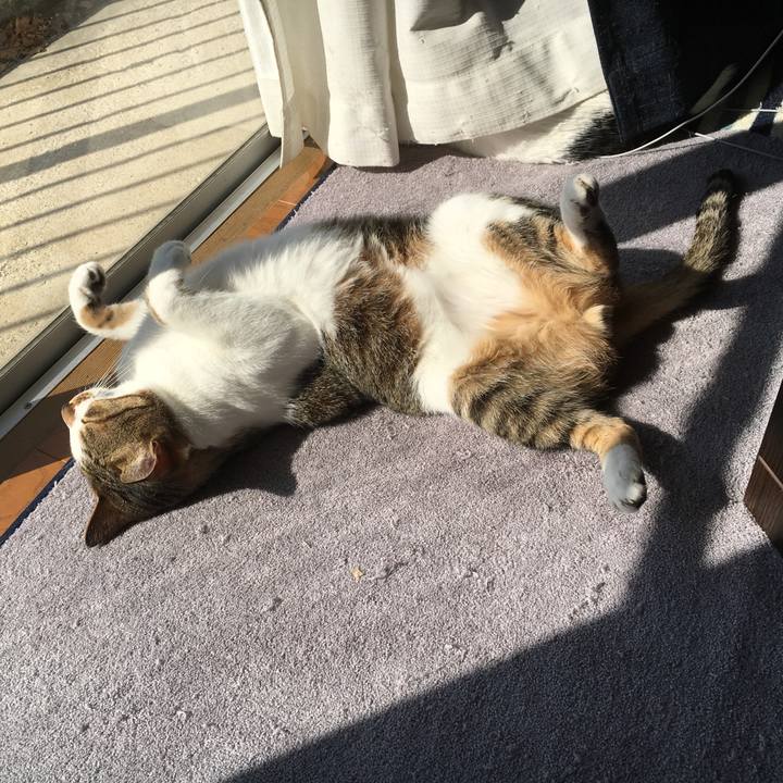 Fd743d58 601f 491d afa7 3493b93f660e