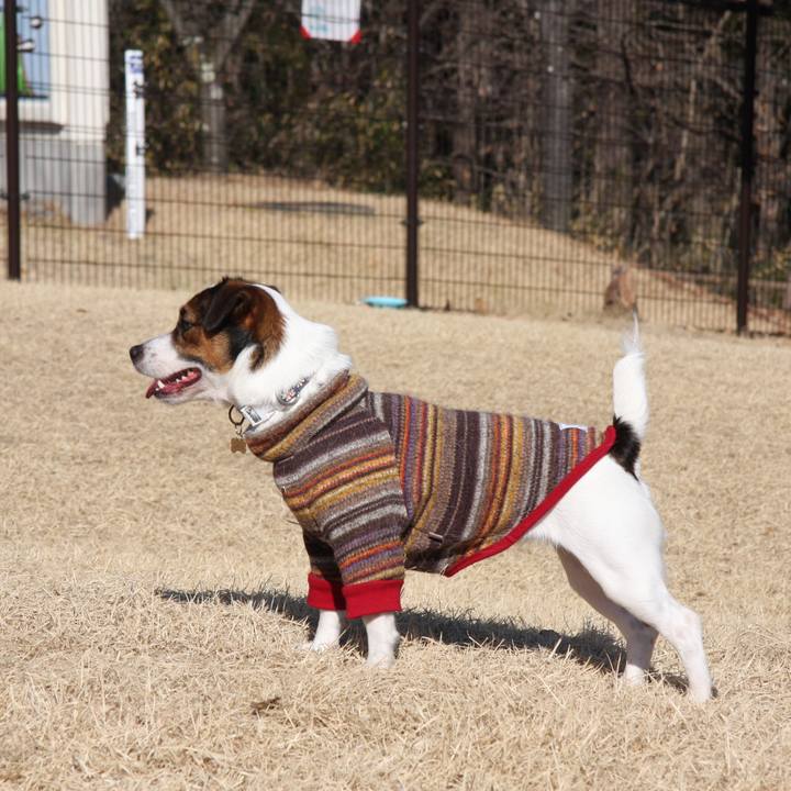 Fd74e380 ec4a 46d7 9371 a4f1ac1f1279