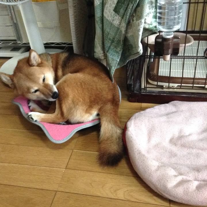 Fd7506f6 5d1e 4fd6 b880 0b69dc92d712